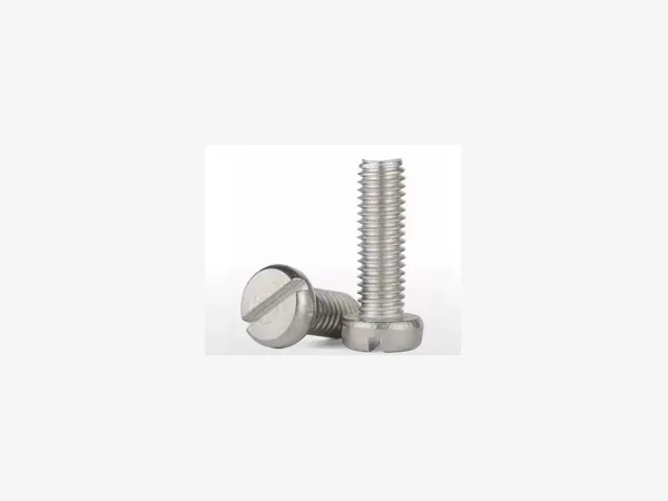 Slotted Cheese Head Machine Screw M3-L6